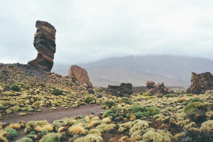 Trail of Chinyero